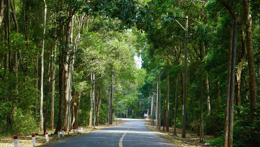 Binh Chau-Phuoc Buu Nature Reserve